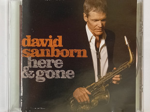 David Sanborn- HERE & GONE