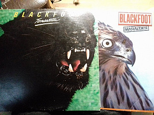 BLACKFOOT 2LP 19800/1981 tomcattin/marauder usa gema