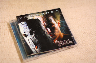 Saltatio Mortis - Erwachen (2004)