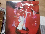 DIVINYLS. what a life p1985 chrysalis can