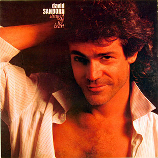 David Sanborn ‎– Straight To The Heart