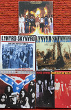 Lynyrd Skynyrd - конверты для мини винила