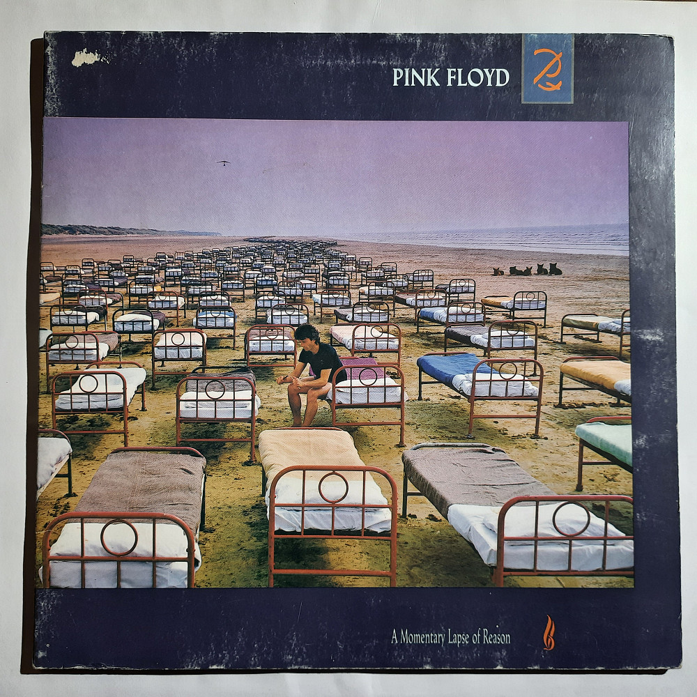 A momentary lapse of reason. Pink Floyd a Momentary lapse of reason 1987. Pink Floyd a Momentary lapse of reason CD. A Momentary lapse of reason компакт диск. Pink Floyd a Momentary lapse of reason 2021.