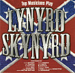 Various Artists- TOP MUSICIANS PLAY LYNYRD SKYNYRD