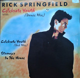 Rick Springfield Celebrate Youth 45RPM