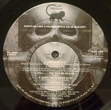 Emerson, Lake & Palmer ‎– Brain Salad Surgery