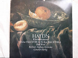 Haydn Klavierkonzerte