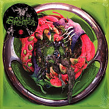 Вініл платівки Lady Gaga