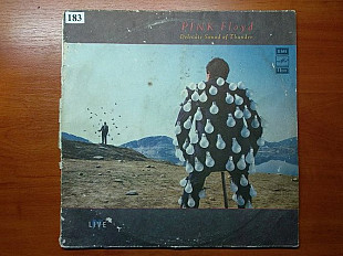 Пинк Флойд - Pink Floyd - Delicate sound of thunder двойной