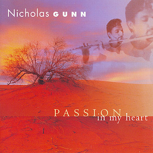 Nicholas Gunn - музыка индейцев Америки.