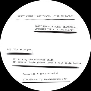 Nancy Whang & Audiojack ‎– Like An Eagle - DJ VINYL