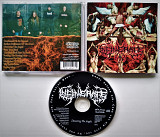 Death Metal CD / Incinerate - Dissecting the Angels (BB)
