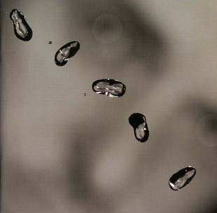 Peter Gabriel - 2002 - Up