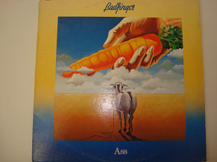 BANFINGER-Ass 1973 USA Power Pop