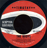 The Buoys ‎– Timothy