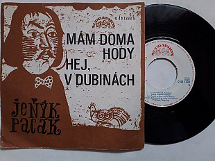 Jenyk Pacak Mam doma hody/Hej v dubinach