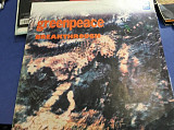 V.A. Rock & Pop Stars (Greenpeace. Breakthrough) 1988. (2LP). 12. Vinyl. Пластинки +Книжка. NM/EX+
