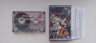 Banyan (Stephan Perkins.Mike Watt.Nels Cline )