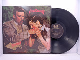 Drahdiwaberl – Werwolfromantik LP 12" (Прайс 34016)