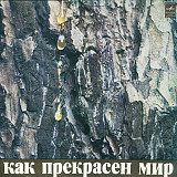 Пластинка - Давид Тухманов - Как прекрасен этот мир - Мелодия 1974
