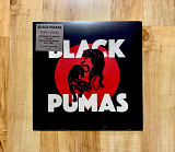 Black Pumas - Debut Album
