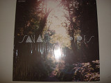 SAVAGING SPIPES-Savaging Spires 2011 UK & Europe Electronic Alternative Rock Abstract, Folk, Neofo