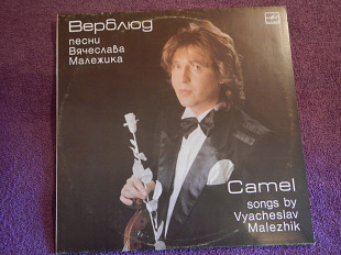 LP Вячеслав Малежик - Верблюд - 1987