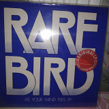 Rare Bird ''AS YOUR MIND FLIES BY''LP