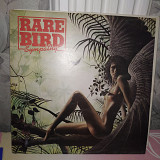 RARE BIRD ''SYMPATY'' LP