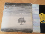 Genesis ‎– Wind & Wuthering ( USA ) LP