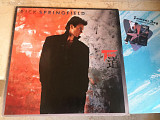 Rick Springfield (+ex Nine Inch Nails , Climax Blues Band, Journey , Jeff Beck ) Tao ( Germany ) LP