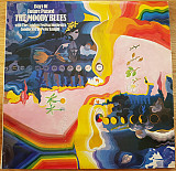 Moody Blues ‎– Days Of Future Passed
