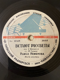 Раиса Неменова "Текстильный городок", "Встают рассветы"