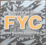 Fine Young Cannibals – She Drives Me Crazy MS 12" 45RPM Europe