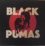 Вініл платівки Black Pumas