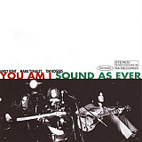 You Am I – Sound As Ever ( USA )