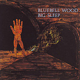 Редкий Big Sleep Bluebell Wood 1st UK Press LP Peg4 A-1U / B-1U