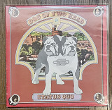 Status Quo – Dog Of Two Head LP 12" France