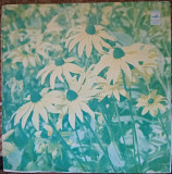 Пластинка Оскар Строк - Танго (1972, Мелодия 33Д 034457, Моно, АЗГ)