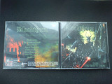 Bloodthorn - Under The Reign Of Terror