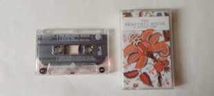 The Beautiful South Alittle time single