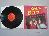 RARE BIRD Rare Bird (Compilation) 1977 UK Polydor 2384 078 SPECIAL