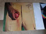 Wishbone Ash ‎– There's The Rub (USA ) LP