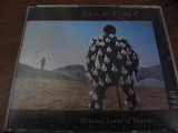 Pink Floyd-Delicate Sound Of Thunder (live)1988(2cd)