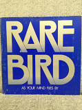 Rare Bird – As Your Mind Flies By
