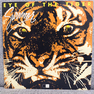 Survivor – Eye Of The Tiger