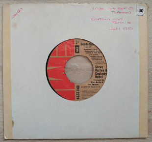 Steve Harley & Cockney Rebel Mr. Raffles Man it Was Mean 7 LP Record Vinyl single