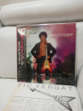 Пластинка Vic Vergat* ‎– Down To The Bone (promo Japan)
