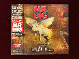 Mr. Big – What If...