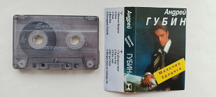 Андрей Губин Мальчик бродяга